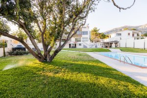 Ιδιωτικός κήπος της Villa Memories στην Κινέτα με μεγάλο δέντρο, γκαζόν και πισίνα