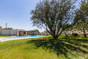 Ιδιωτικός κήπος της Villa Memories με μεγάλα δέντρα και σκιά κοντά στην πισίνα